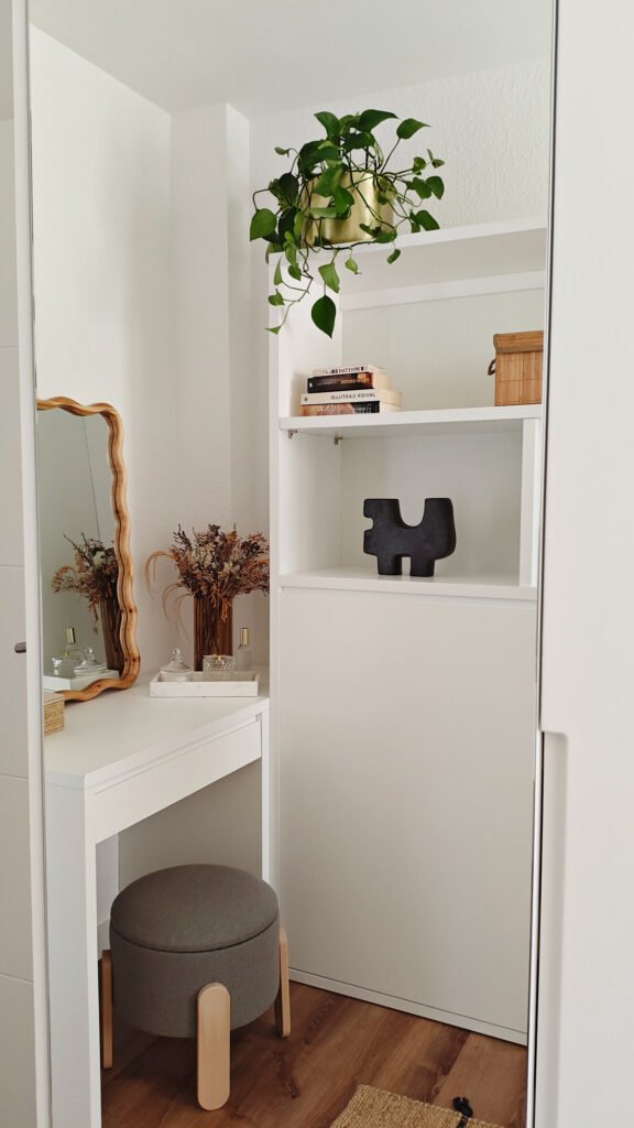 potp-photo-planta-para-decorar