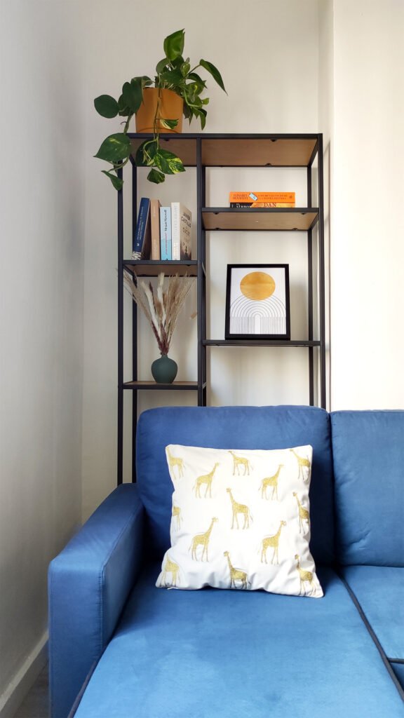 potp-photo-planta-para-decorar