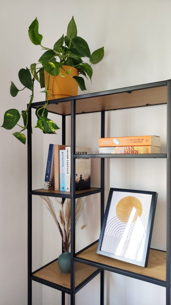 potp-photo-planta-para-decorar