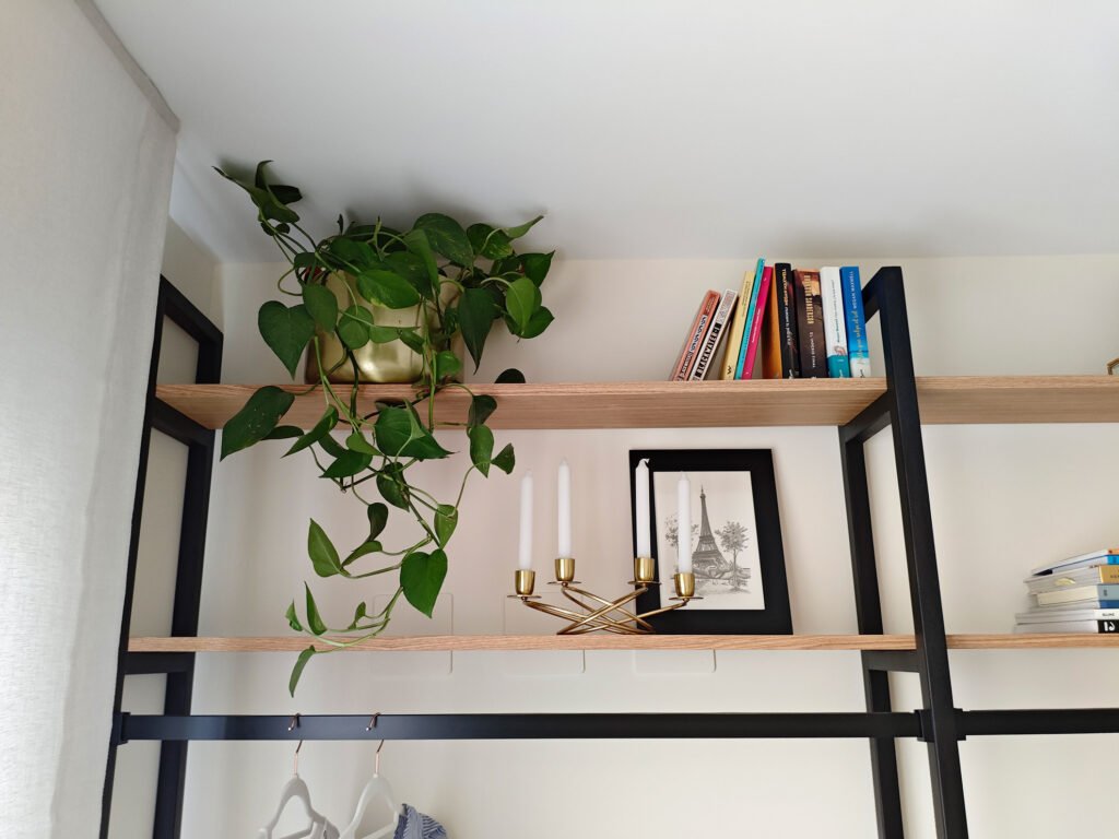 como-decorar-con-plantas-de-interior