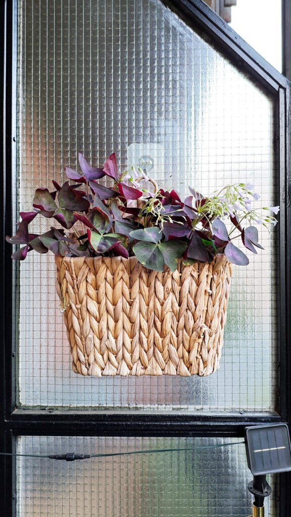 como-decorar-con-plantas-de-interior