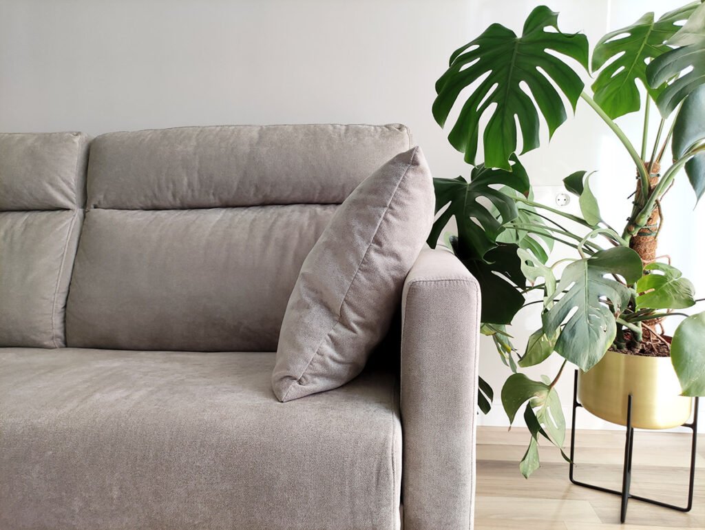 como-decorar-con-plantas-de-interior