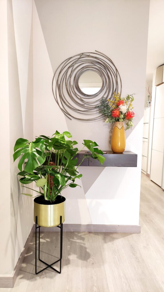 las-mejores-plantas-de-interior-resistentes-faciles-de-cuidar