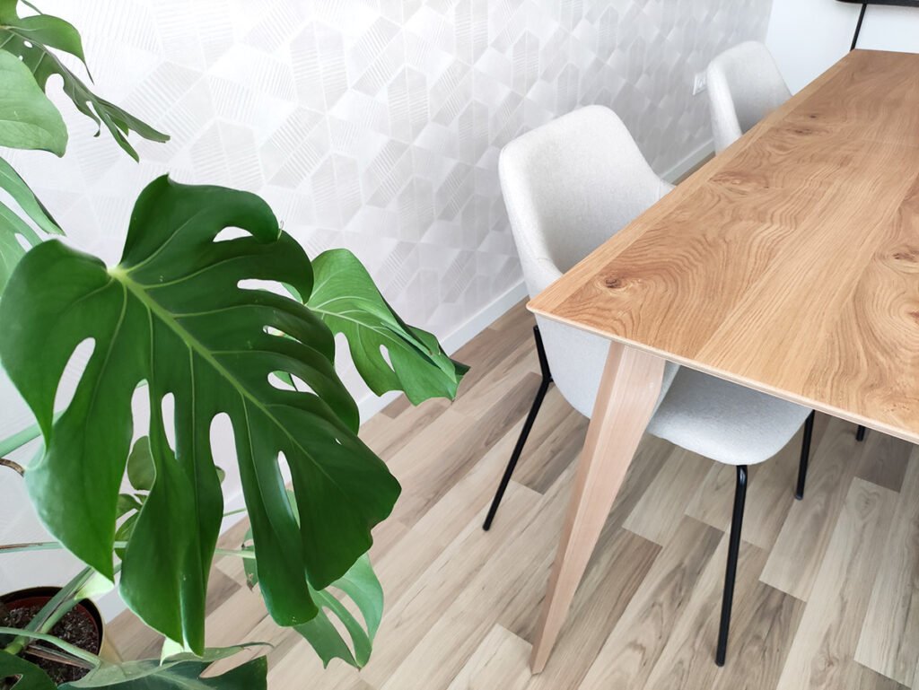 las-mejores-plantas-de-interior-resistentes-faciles-de-cuidar