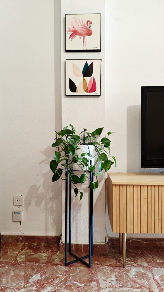 como-decorar-con-plantas-de-interior