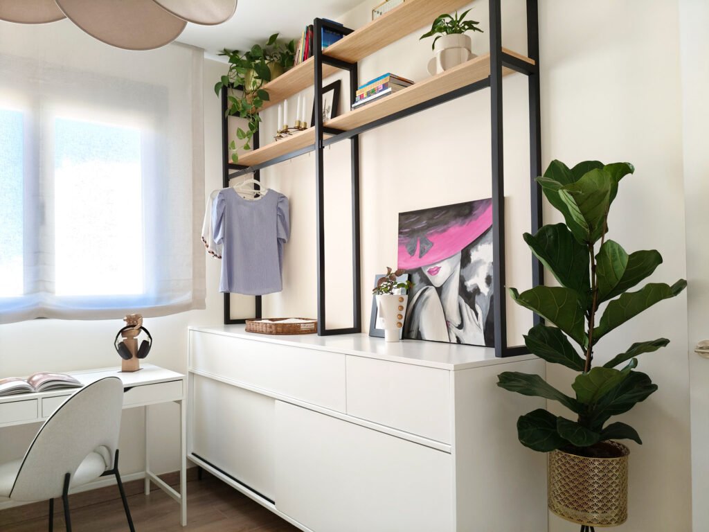 ficus-lyrata-ficus-robusta-para-decorar