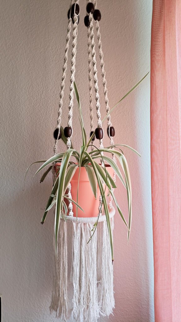 como-decorar-con-plantas-de-interior