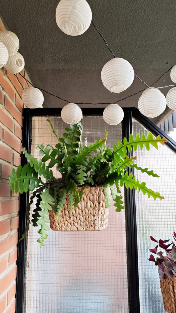 como-decorar-con-plantas-de-interior
