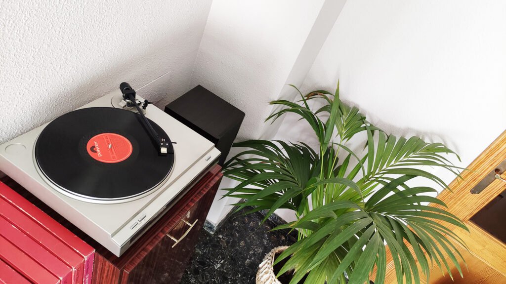 como-decorar-con-plantas-de-interior