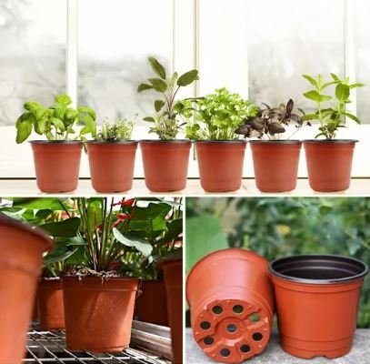 como-decorar-con-plantas-de-interior