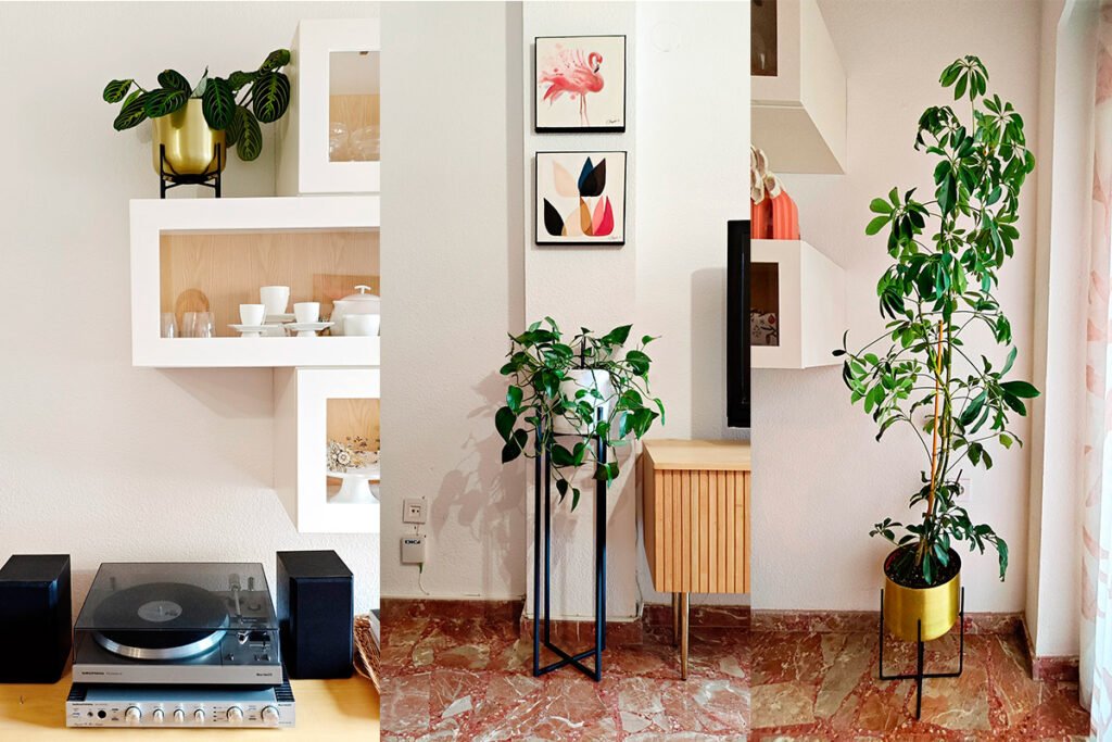 como-decorar-con-plantas-de-interior