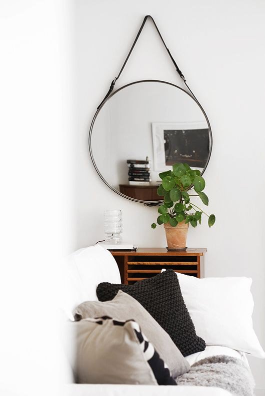 Pilea-Peperomioides-Planta-China-del-Dinero-para-decorar